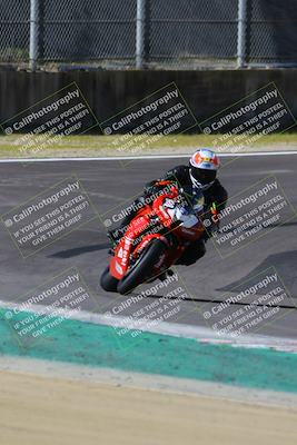 media/Mar-17-2024-Fastrack Riders (Sun) [[c7d6f8c14c]]/Level 2/Turn 6/